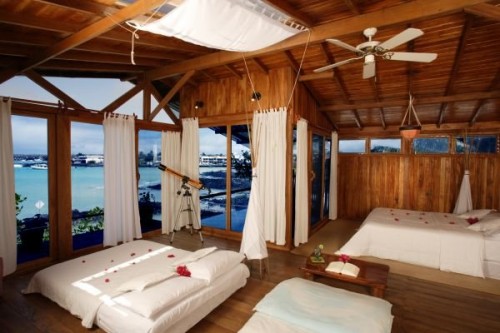 Red Mangrove Galapagos, Ecuador Lodges Offer Dive Packages