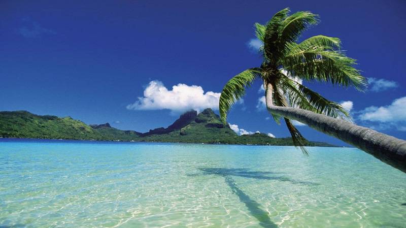 Cancun, Riviera Maya Abuzz with Tourists Amid Violence