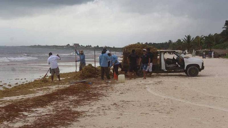Mexico’s Quintana Roo Hopes to Be Free of Seaweed by December