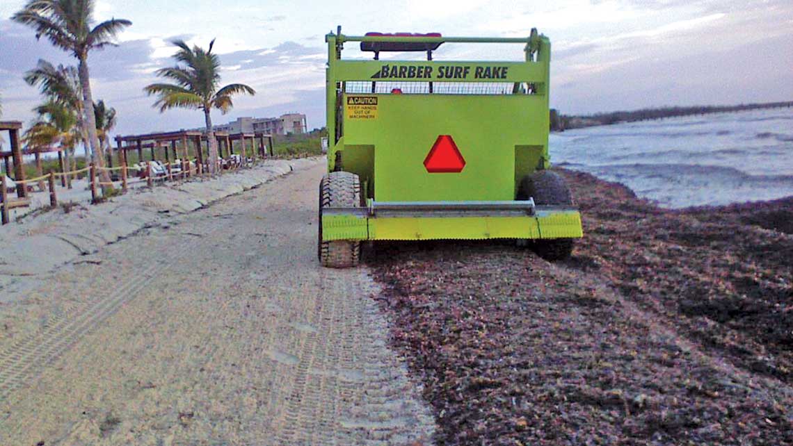 Caribbean, Mexico Fighting Sargassum with Heavy-Duty Machines