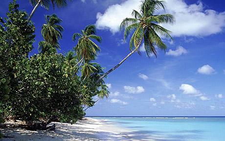 Trinidad and Tobago Reporting Strong Tourism Growth in 2015