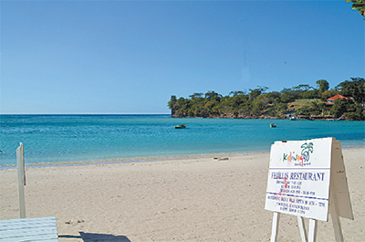 T&T Market for Grenadian Tourism