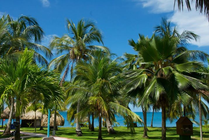 The United States of the Caribbean