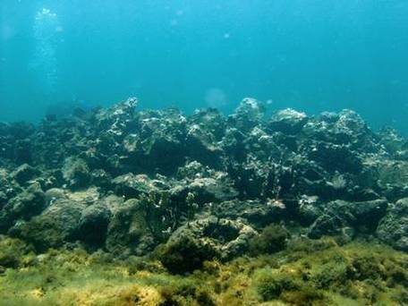 The possible wreckage of Columbus' flagship Santa Maria Wreck of Christopher Columbus’s Flagship Santa Maria Found after 500 Years