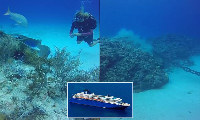 VIDEO: Zenith Cruise Ship's Anchor Destroys Portion of Coral Reef in the Cayman Islands