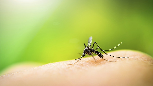 Zika Protection for Guests: A Priority in Puerto Rico Hotels