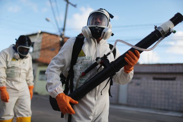 Zika to Cost Latin America $3.5 Billion in 2016