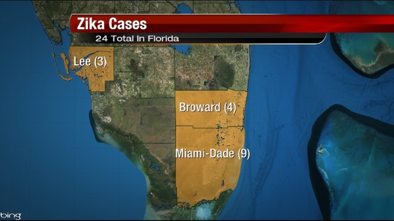 Florida Tourism Officials Gird their Loins Following Miami Zika Outbreak, Alert