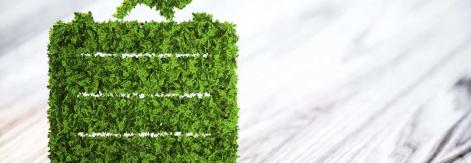 sustainable tourism Americas