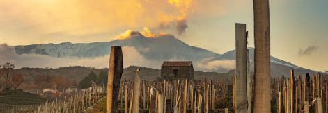 Etna winneries