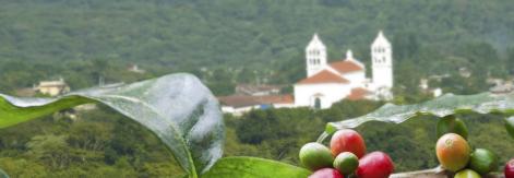 The Coffee Route in El Salvador