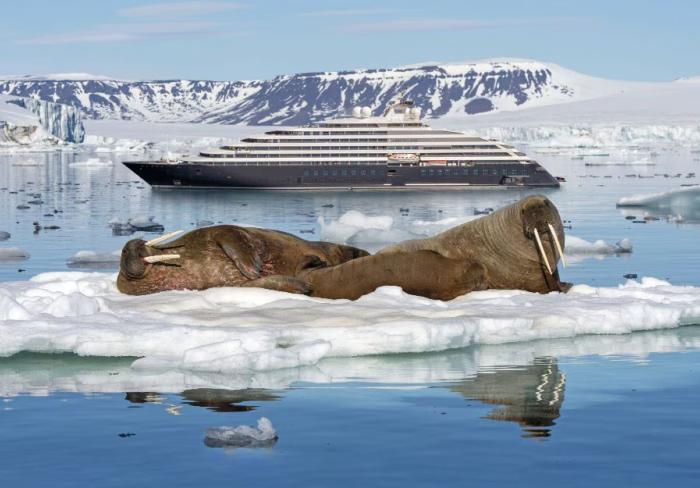 Arctic cruises