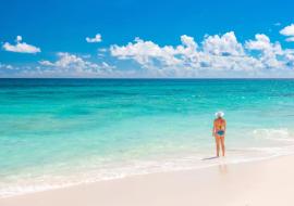 Caribbean