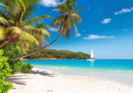Jamaica