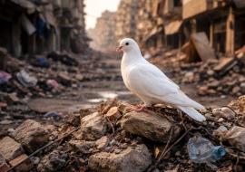 Middle East ceasefire