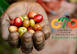 hand holding coffee beans and CTO Foundation logo on the right side