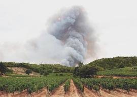 wildfires Spain and France