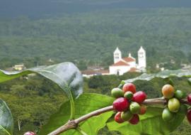 The Coffee Route in El Salvador