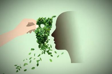greenwashing