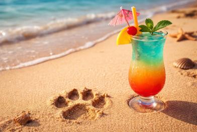 Pawprint Economy and Mixology