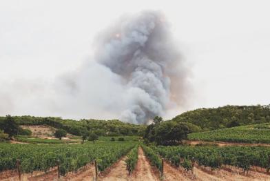 wildfires Spain and France